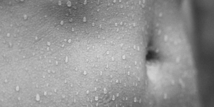Le ventre et la digestion : la clé pour mieux maigrir
